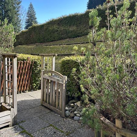 The Small Box - Portes Du Soleil Torgon Exterior photo