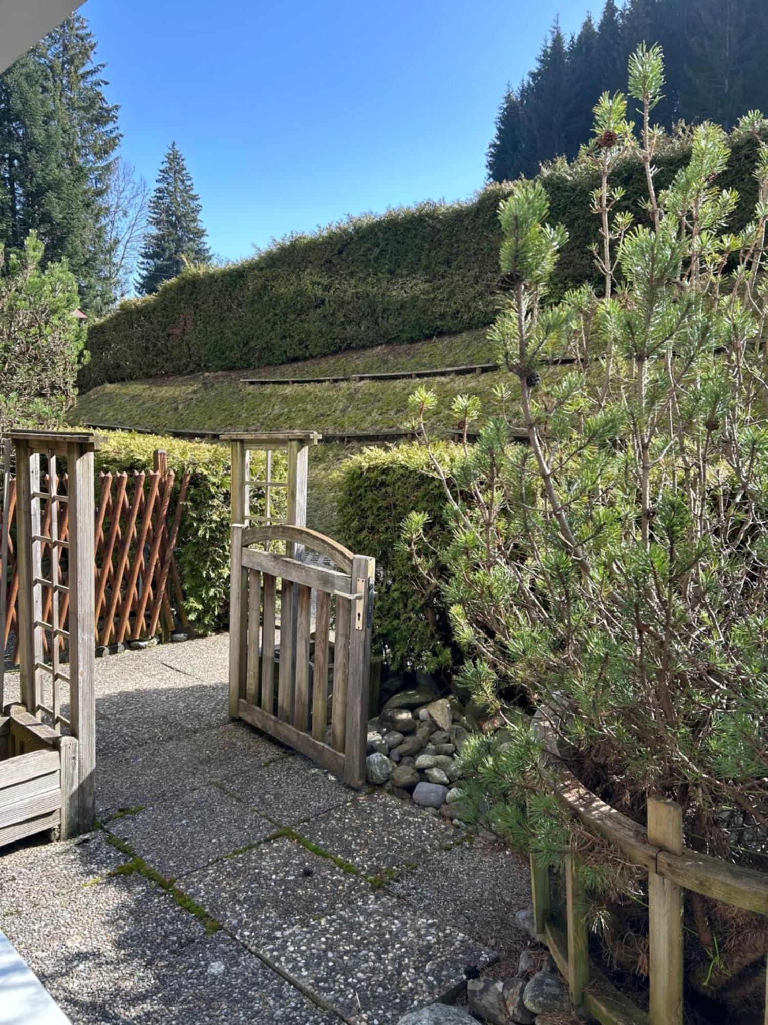 The Small Box - Portes Du Soleil Torgon Exterior photo